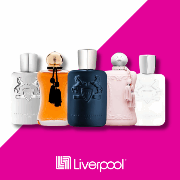 Set de 5 Perfumes Pegasus + Safanad + Layton + Delina + Galloway 100ml