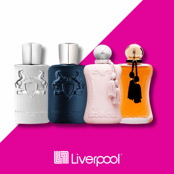 Set de 4 Perfumes Pegasus + Layton + Delina + Safanad 100ml